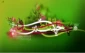 سه نور آمد به عالم پر ز احساس / معطر هر سه از عطر گل یاس