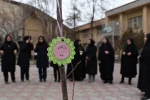 کاشت 5 اصله نهال در محوطه ی شهید گمنام در آموزشکده ملی مهارت دختران همدان 3