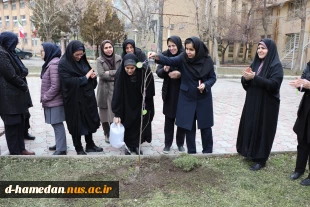 کاشت 5 اصله نهال در محوطه ی شهید گمنام در آموزشکده ملی مهارت دختران همدان 6